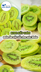 Kiwi sấy thăng hoa 1kg nguyên vị không đường pha trà detox - Thảo Dược Hạnh Nguyên