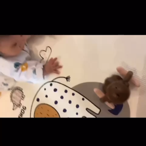 Mainan Anak Bayi Monyet Jungkir Balik Berguling Ada Musik Lampu Edukasi Anak Perempuan Laki Laki Rolling Monkey Toy - Monyet Coklat