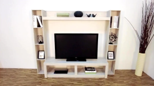 Rarus Modern TV Cabinet Combination TV Stand with Display Stand Furniture Living Room Wall-Mounted TV Cabinet