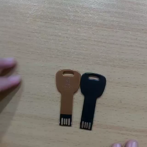 Flashdisk FDMT15 Gold Black USB Model Kunci