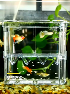 ตู้ปลากัด กล่องอะคริลิคแยกปลา กล่องเพาะพันธุ์ปลา ขนาด13x10x7cm 2ชั้น กล่องแยกปลา​ ปลากำลังท้องหรือปลาป่วย​ ตู้ปลา