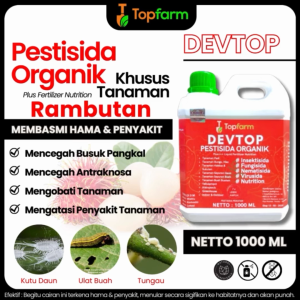 Obat Hama Tanaman Rambutan & Solusi Semut Paling Ampuh