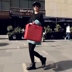 กระเป๋าเดินทาง 14 นิ้ว ความจุขนาดใหญ่ แฟชั่น ออแกไนเซอร์ ถุงเก็บของสําหรับเดินทาง Hand Carry Luggage