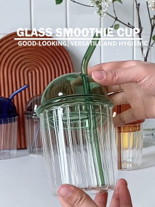 Locaupin Borosilicate Glass Cup with Lid Cover Tumbler with Straw Coffee Cup Heat Cold Resistant High Quality Mug