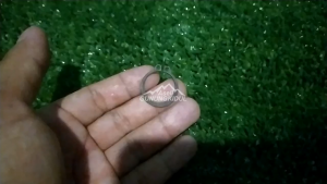 Cincin Pengunci As Dudukan Bajak Parabola - Snap Ring Type C Shaft 20