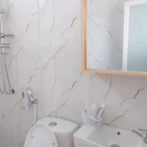 Ayana cleaner pembersih toilet serbaguna ukuran 500 ML