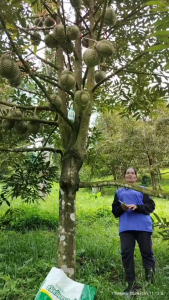 ปุ๋ยน้ำ 1 ชุด เวิลด์แพลนท์ ไคโตซาน World Plant Chitosan +สารเพิ่มประสิทธิภาพ คู่หูมหัศจรรย์