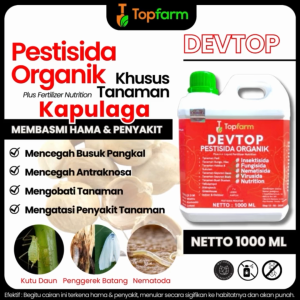 Obat Pelebat & Penyubur Buah Kapulaga