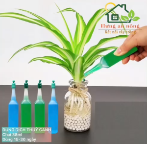 Dung dịch thuỷ canh đậm đặc dùng cho tất cả cây trồng chai 38ml ( 2 màu xanh công dụng như nhau )