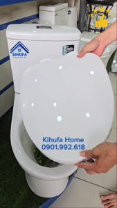 Nắp bồn cầu Đóng Rơi Êm thay thế chuẩn đẹp cầu TOTO nắp bàn cầu  Trắng Cao Cấp Chống Bám Bẩn N19TTO