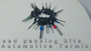 EAFC Terminal Removal Tools Pin Extractor Kit 18PCS - DC10TZ - Silver