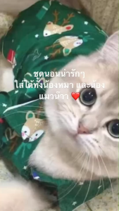 PetSociety เสื้อสุนัข เสื้อแมว ชุดนอน 4 ขา กันขนร่วง