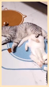 AP AIMAYAPET 42/50CM Cat Scratch Board Cat Toy Cat Scratches Roundness Cat Scratcher Cat Scratching Pencakar Kucing Karpet