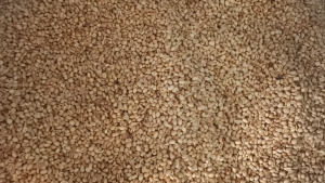 Kacang Bawang Goreng 1KG: Cemilan Sehat dan Nikmat