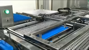 แคปซูลเปล่าเจลาติน  สีเขียวเข้มใส เบอร์ 0 500 มก  1ห่อ บรรจุ 1000 แคปซูล #แคปซูล #แคปซูลเปล่า #แคปซูลพืช #แคปซูลเจลาติน