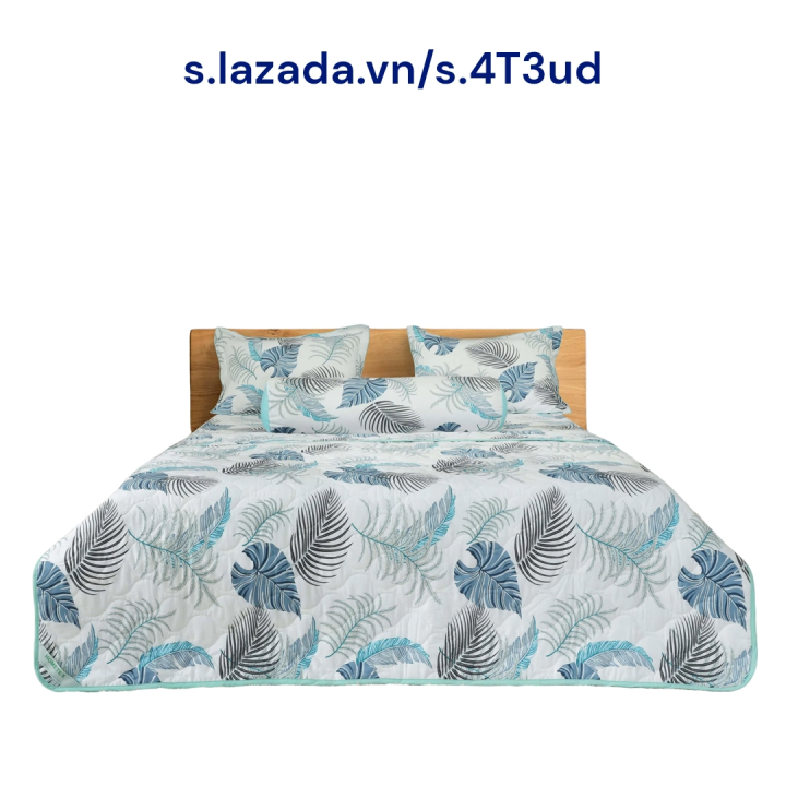 Bộ Chăn Ga Gối Cotton Hometex - Bộ Drap Vải Cotton - Sản Phẩm Của Cty May Thiên Hà
