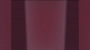 TS6 Probiotic #1 Doctor Recommended Promotes Gut Health & Boosts Immune System suitable for Baby/Children/Adult 60s