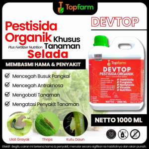 Obat Hama Selada Hidroponik / Obat Tepung Buat Daun Selada / Obat Seladah / Obat Hama Tanaman Selada Hidroponik / Obat Sayuran Selada / Obat Buat Daun Selada / Obat Akar Daun Selada