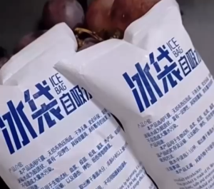 10PCS Self Absorbent Ice Bags Reusable Gel Ice Bags Used To Transport Food Cold Storage Preservation