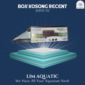 FILTER BOX MINI RECENT / BOX FILTER RECENT SIZE S / FILTER ATAS RECENT