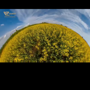 Vanzo Elegant Parfum Laundry Series 3in1 Laundry Capsules and Softener 高级香水洗衣系列 三合一香氛洗衣凝珠 和 香氛柔顺剂 Manik Dobi Sabun Baju