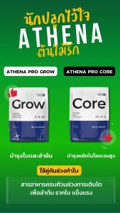 [ส่งฟรี] Athena Pro Grow บำรุงใบและลำต้น 2-8-20 กล่องและถุง ขนาด 10 และ 25 ปอนด์ อาเธน่าโกรว