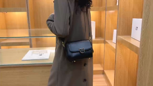 Tas Selempang atau Sling Bag Wanita Kulit Import Model Terbaru CPB 3796