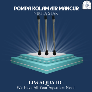 Pompa Kolam Air Mancur Nikita Star & Air Mancur Mushroom
