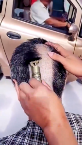 Alat Cukur Kumis Dan Jenggot Mesin Potong Rambut Alat Mesin Cukur Rambut Elektrik Vintage T9 Dragon Naga Hair Clipper SH LC05