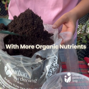 8-liter Soil-less Potting Mix For Flowering and Fruiting Plants  Infused with Phosphorus from Guano that contains Plant Nutrients that Induce Flowering and Bigger Fruits