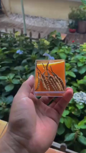 Combo Hộp quà tặng Đông trùng hạ thảo Tây Tạng loại 8 con và 100g kỷ tử loại to - Thực phẩm cao cấp và quà tặng