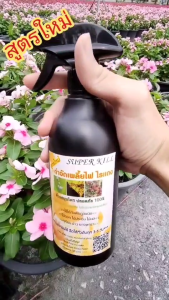 ส่งฟรี สเปรย์กำจัดเพลี้ยไฟไรแดง แมลง มด หนอน กำจัดศัตรูพืช แมลงบินต่างๆ ด้วยสมุนไพร ปลอดภัย ไร้สารเคมี ogannic100% ยากำจัดเพลี้ยไฟ ยาฆ่าแมลง เพลี้ยไฟไรแดง ยากำจัดไรแดง ยาฆ่าแมลง หนอน ใช้ได้กับพืชทุกชนิด บอนสี ไม้ดอก ไม้ประดับ ทุเรียน ข้าว