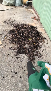 Máy Thổi Lá Điện Greek Man TLT3300 Công Suất Lớn 3000W 6 Cấp Chỉnh Tốc Bảo Hành 6 Tháng Máy Thổi Lá Nhẹ Dễ Sử Dụng - Lazada