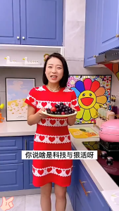 椰椰植萃洗洁精 - 果蔬餐具清洁  Coconut Dishwashing Liquid - Fruit & Dish Cleaner