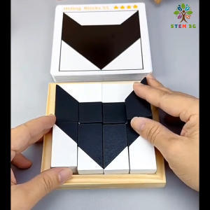 Đồ chơi IQ Xếp Hình Thông Minh Khối Ẩn 3D Hiding Blocks bằng gỗ cao cấp phát triển trí tuệ Quà tặng sinh nhật stem3g