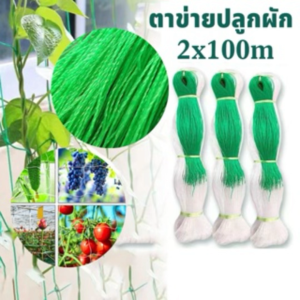 ตาข่ายปลูกผัก โครงไม้เลื้อย ค้างไม้เลื้อย ตาข่ายพลาสติก ตาข่ายเอ็น ตะข่ายเอ็น ต้นไม้เลื้อย อวนแตง หลักไม้เลื้อย ตาข่ายปลูกแตงกวา ตาข่ายไม้เลือย ตาขายปลูกผัก ตาข่ายทำค้าง ตาข่ายปลูกถั่ว อุปกรณ์ทำสวน ของแต่งสวน อุปกรณ์แต่งสวน ตาข่ายการเกษตร