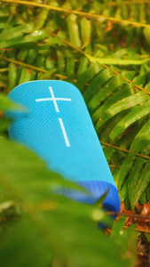 Loa di động Bluetooth Ultimate Ears EVERBOOM - Bass lớn 360o Loa chống nước IP67 Pin lên đến 20 giờ