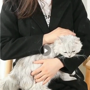 Sticky Hair Roller Pet Fur Remover Clothes Cleaning Dust Removal Strong Sticky Reusable Roller