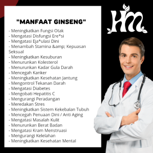 HerbalQulogy - GINSENG Isi 30 60 100 Kapsul Murni 100% Original ginseng panax radix Ginseng korea