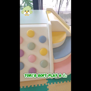 Toris Soft Play 6 ชิ้น (มีบ่อบอล)