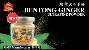 BENTONG GINGER - Pure Ultrafine Powder - For Indigestion Nausea Cold & Flu. - 50grams