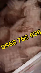 Máy trộn bánh tráng trộn gia vị 5-25kg