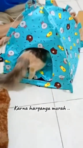 Rumah Kucing Anjing Model Tenda Aerizoo Tempat Tidur Portable Bisa Dilipat dan Dicuci Ukuran Besar Kualitas Premium Bonus Bantal Snack dan Aksesoris