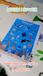 POSTER EDUKASI HEWAN LENGKAP Poster Untuk Belajar Anak Balita PAUD. A3+ Tebal Full Color