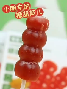 AllerStar Candied Hawthorn Skewers 12m+ 敏星 糖葫芦儿（宝宝棒棒糖/宝宝糖果/Baby Lollipop/Baby Candy）天天米好TianTianRiceKL