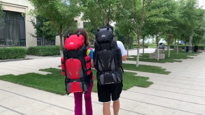 Fashion Hiking Backpack 90L Large Capacity Waterproof Outdoor Sports Camping Bag Travel Backpack Mountaineering Bag