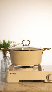Ecowin cookware Shell Series — nonstick Stock Pot with Lid is suitable for all stovetops