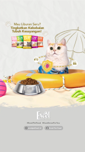 EXCEL CAT FOOD 500GR Fresh Pack / Makanan Kucing Excel Adult Mother & Kitten 500gr Nutrisi Lengkap Dan Seimbang Untuk Kucing Kekebalan Tubuh Kucing Rasa Ikan Dan Variasi Warna - Lazada