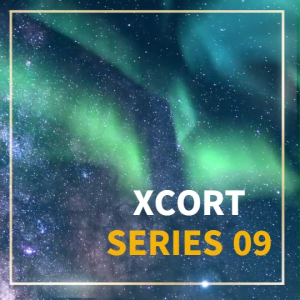 (SERIES 9) XCORT ไขควงกระแทกบลัสเลสไร้สาย แรงบิดสูงสุด 220 NM แบตเตอรี่ 21V 2000 mAh ปรับได้ 8 โหมด รุ่น XC9-6351