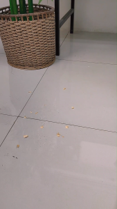 Gmax Vacuum Cleaner VC-201 - เครื่องดูดฝุ่น แบบมือถือ แบบด้ามจับ รุ่น VC-201 รับประกัน 1 ปี